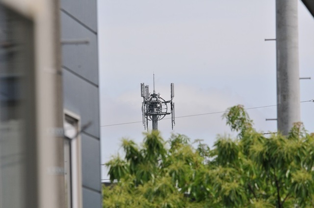 DSC_5989.JPG