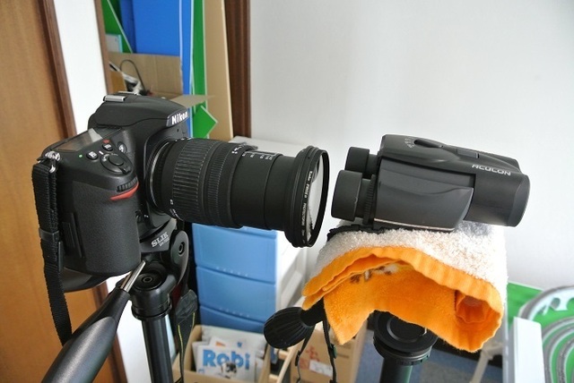 DSC_5994.JPG