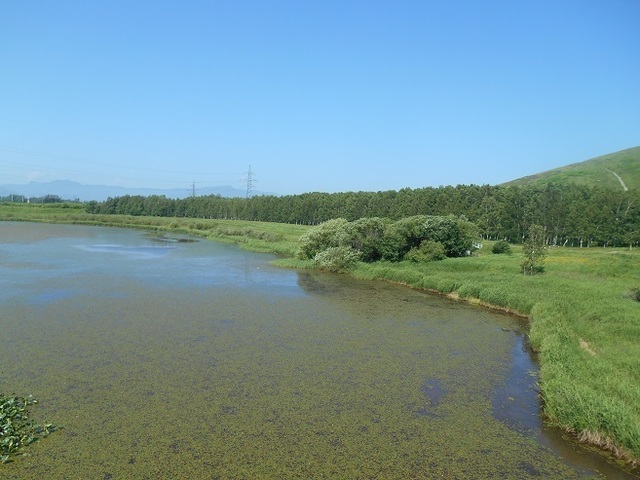 DSC_6000.JPG