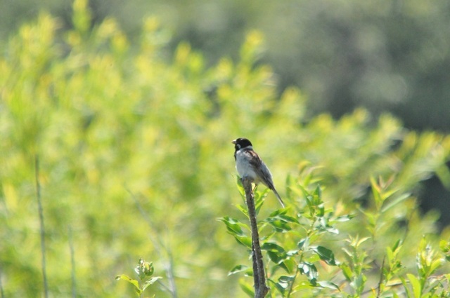 DSC_6024.JPG