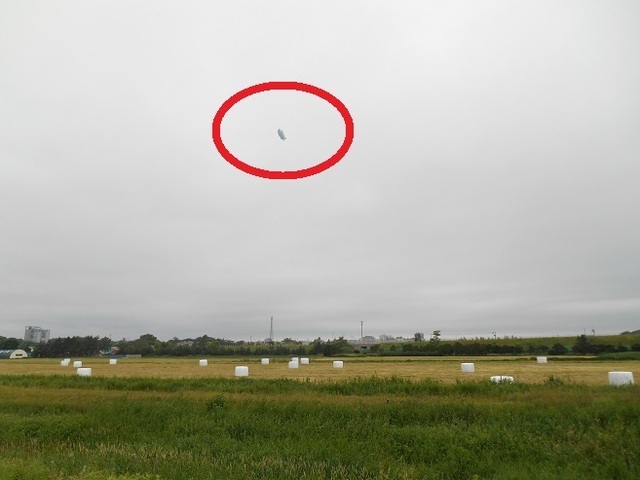 DSCN3007.JPG