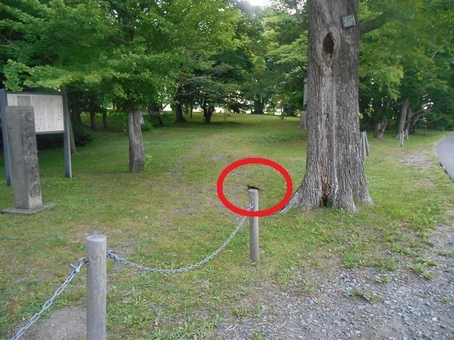 DSCN3023.JPG