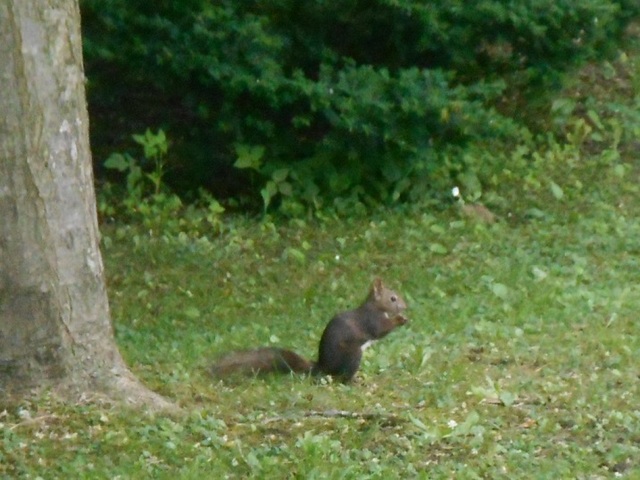 DSCN3025.JPG