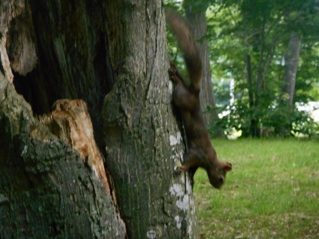 DSCN3028.JPG