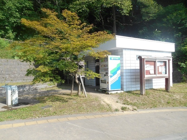 DSCN3079.JPG