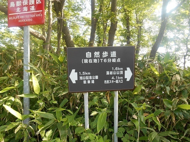 DSCN3101.JPG