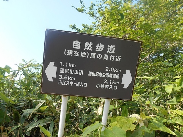 DSCN3106.JPG