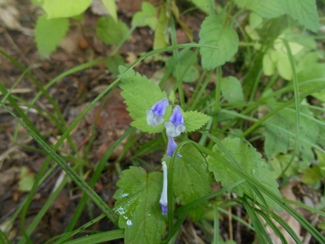 DSCN3116.JPG
