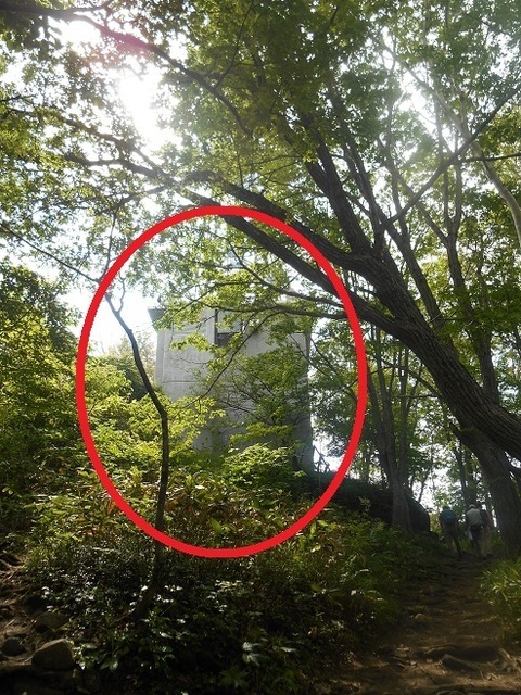 DSCN3117.JPG