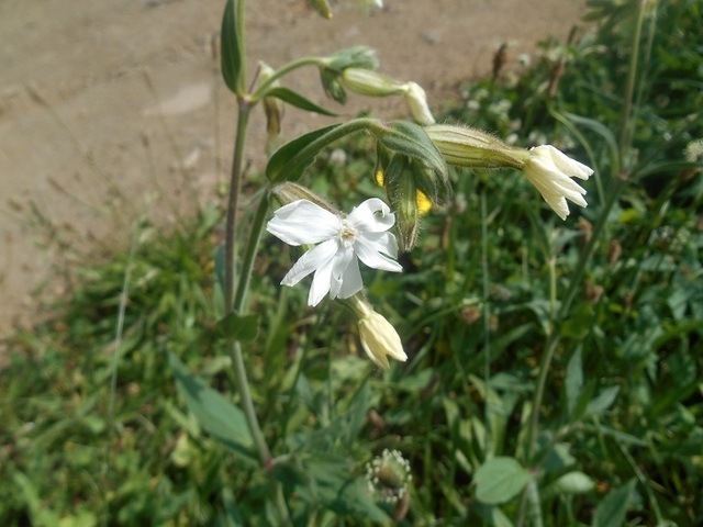 DSCN3141.JPG