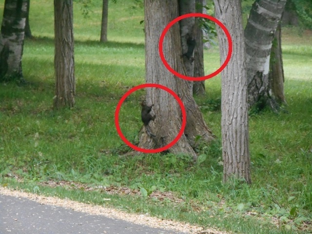 DSCN3175.JPG