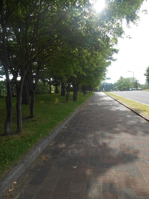 DSCN3186.JPG