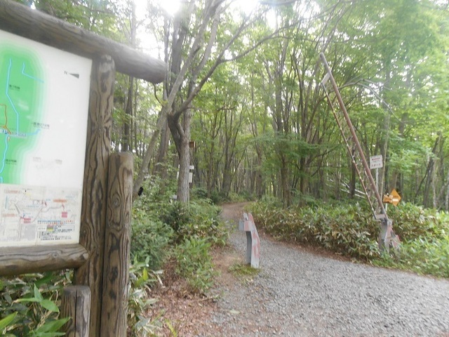 DSCN3202.JPG