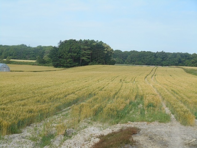 DSCN3229.JPG