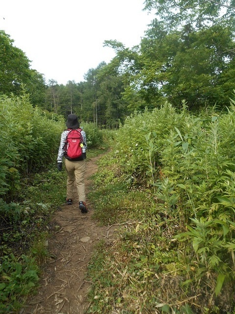 DSCN3411.JPG