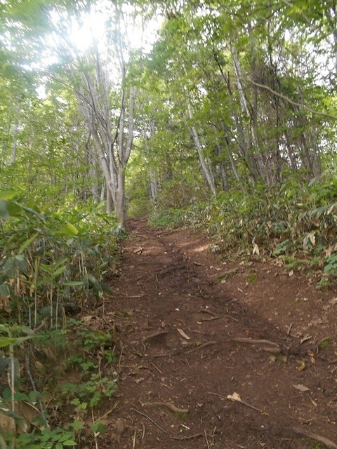 DSCN3416.JPG