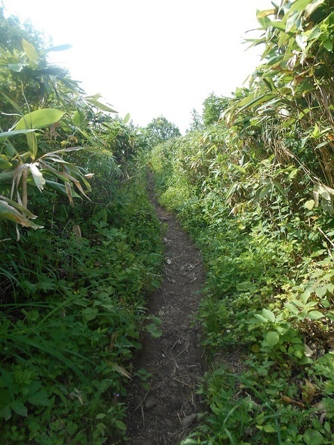 DSCN3431.JPG