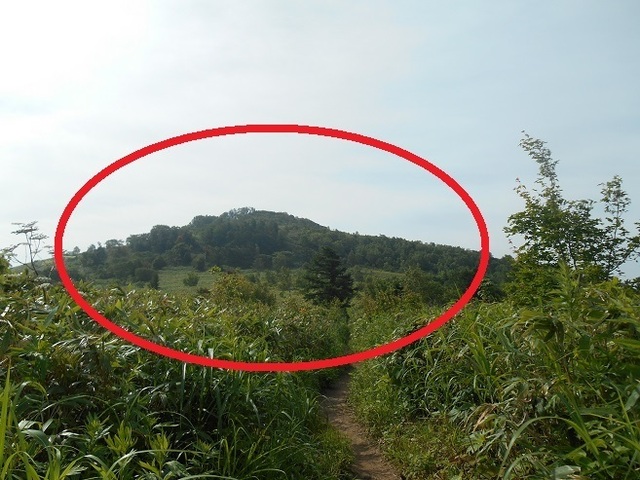 DSCN3432.JPG