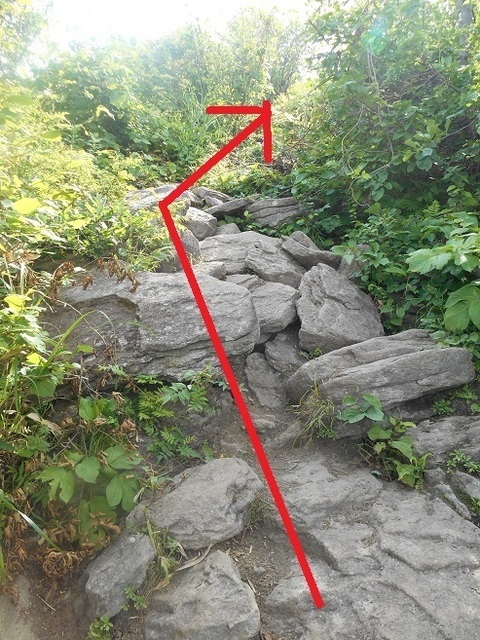 DSCN3442.JPG