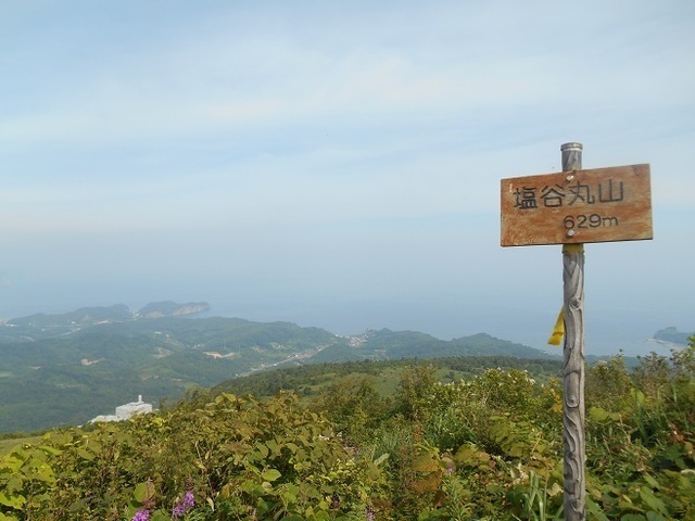 DSCN3447.JPG