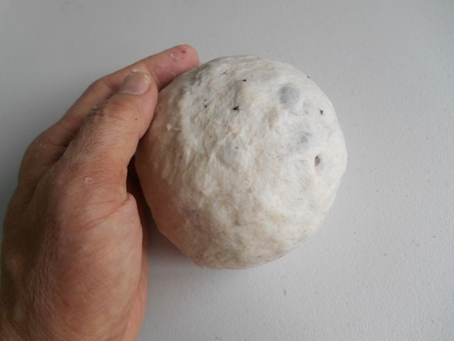 DSCN3919.JPG