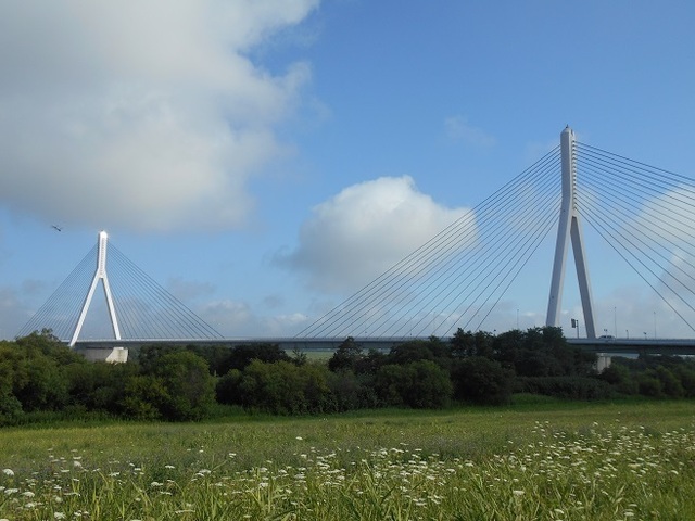 DSCN4014.JPG