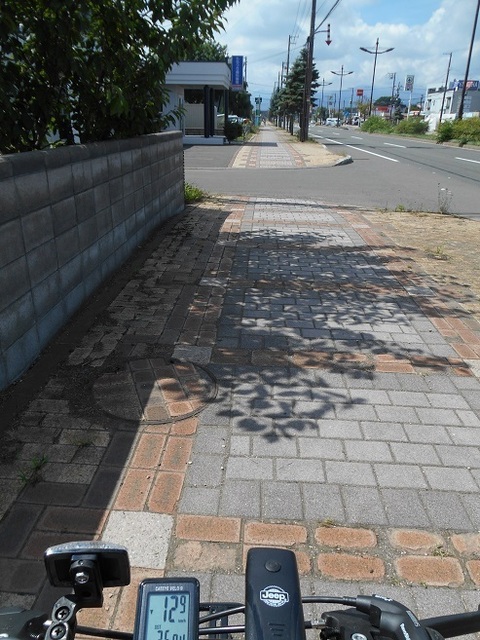 DSCN4075.JPG