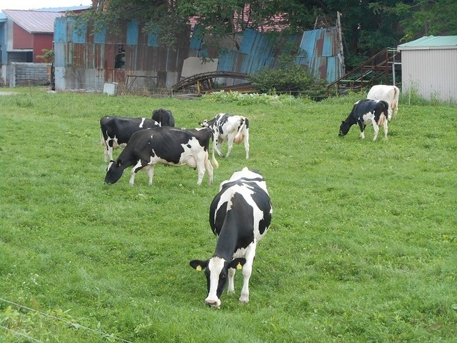 DSCN4132.JPG