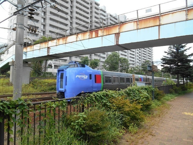 DSCN4144.JPG