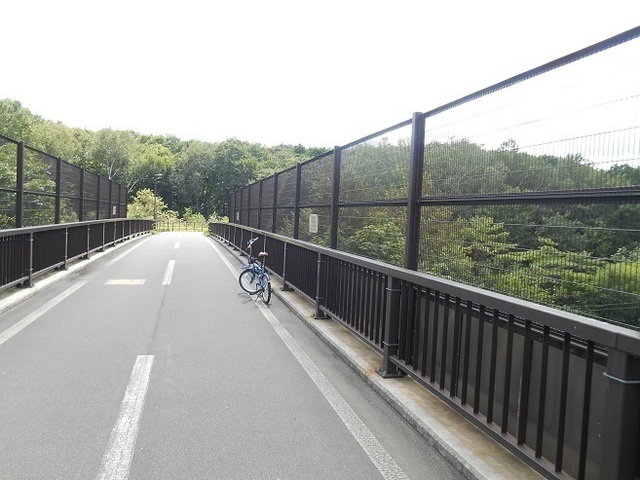 DSCN4145.JPG