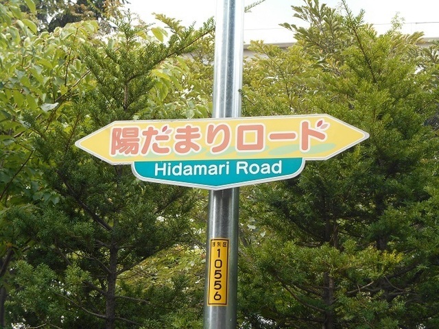 DSCN4175.JPG