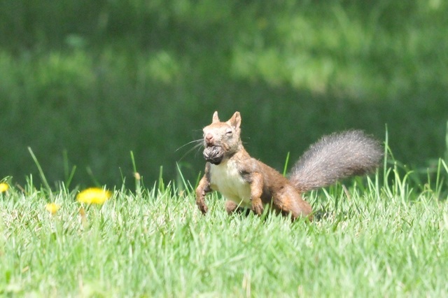 DSCN4232-1.JPG