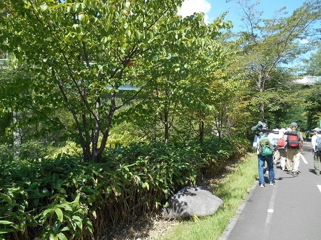 DSCN4232.JPG