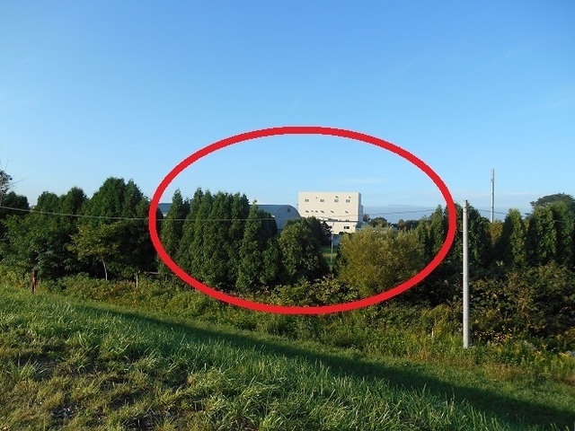 DSCN4311.JPG