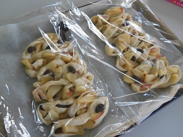 DSCN4487.JPG