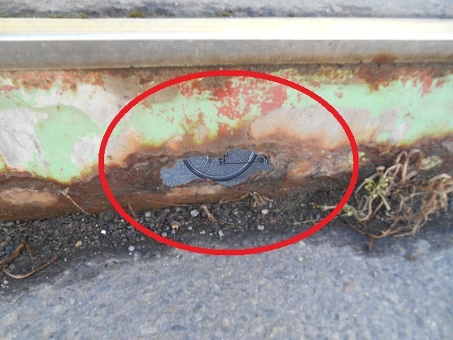 DSCN4591.JPG