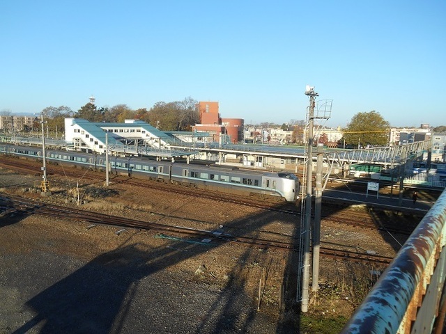 DSCN4597.JPG