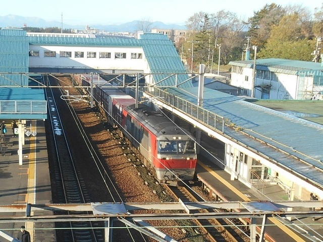 DSCN4601-1.JPG