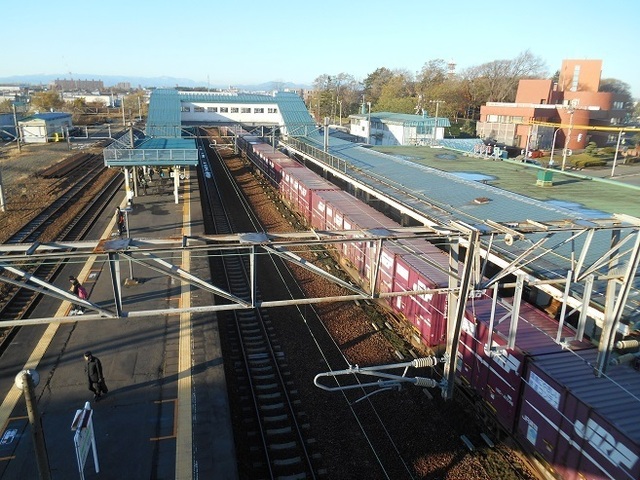 DSCN4603.JPG