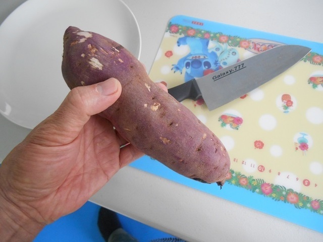 DSCN4863.JPG