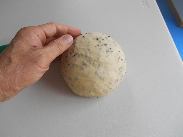 DSCN4869.JPG