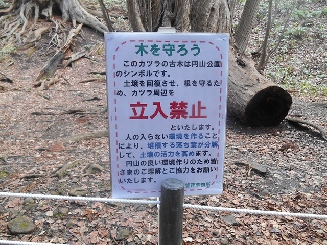 DSCN5014.JPG