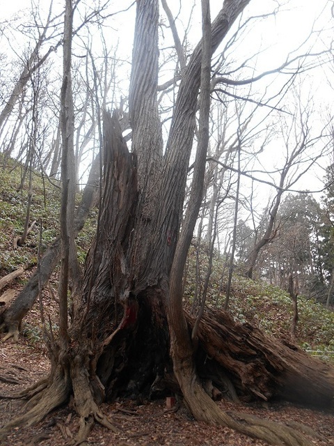 DSCN5017.JPG