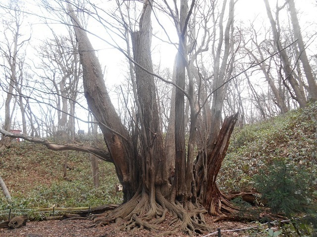 DSCN5018.JPG
