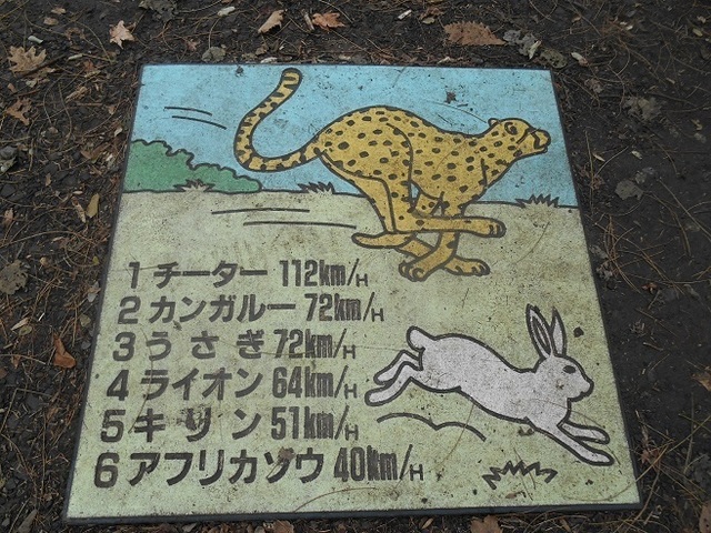 DSCN5021.JPG