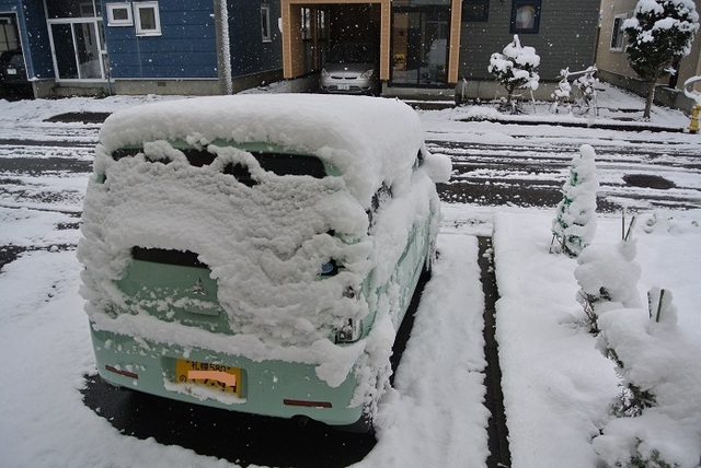 DSC_0012.JPG