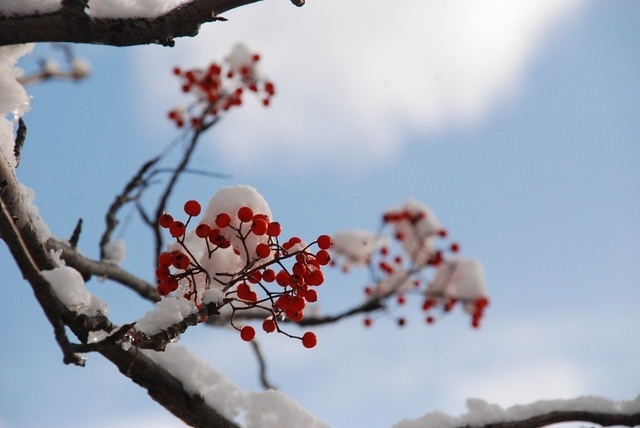 DSC_0014-1.JPG