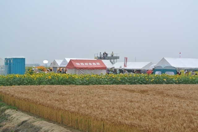 DSC_1114.JPG
