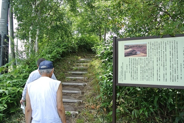 DSC_1882.JPG