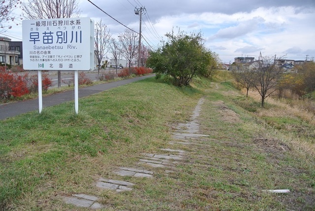 DSC_1884.JPG